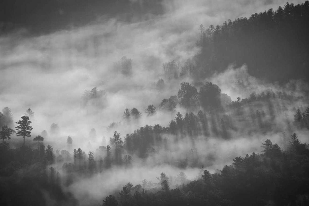 E-İhracat Faturası Düzenleme