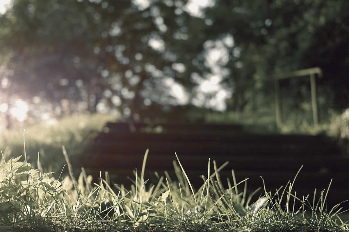 Turnike ve Geçiş Kontrol Entegrasyonu