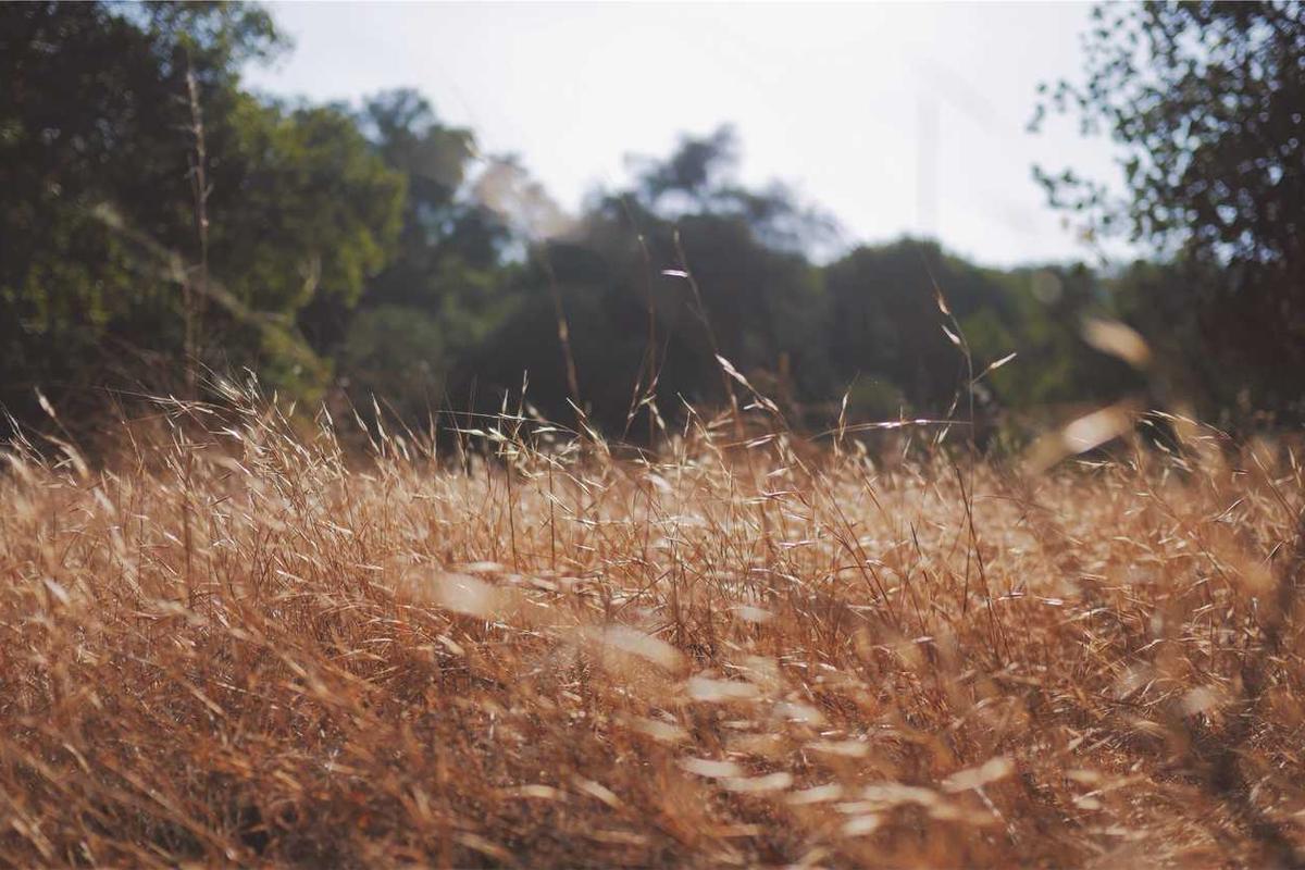 Yazılım Test Süreçleri ve Otomasyonu